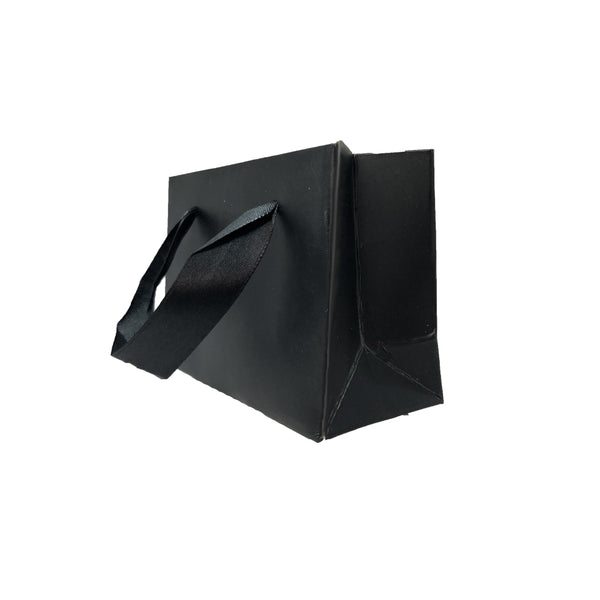 JAM PAPER Maletín vertical de plástico con cierre de hebilla - 9 1/4 x 12 x  2 1/2 - Transparente y negro - Se vende individualmente